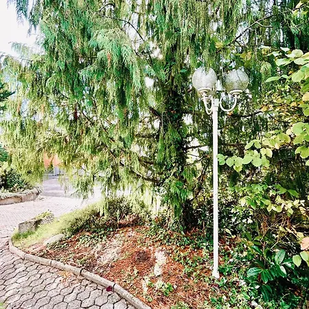 Waldblick - Moderne Im Westerwald Апартаменты